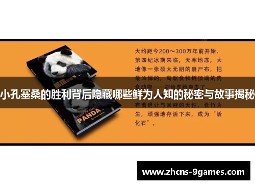 小孔塞桑的胜利背后隐藏哪些鲜为人知的秘密与故事揭秘